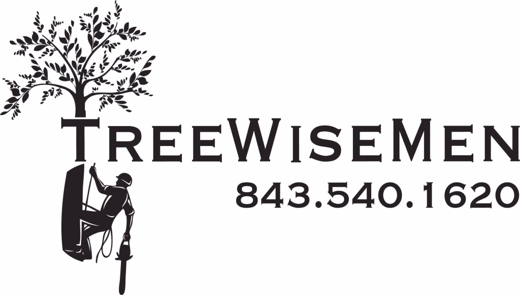Logo for Treewisemen with a tree, a worker using a chainsaw on a trunk, and the phone number 843-540-1620.